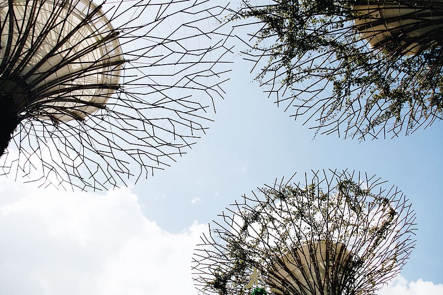 singapore, gardens by the bay, white, trees, green, sky, gardensbythebay, HD wallpaper