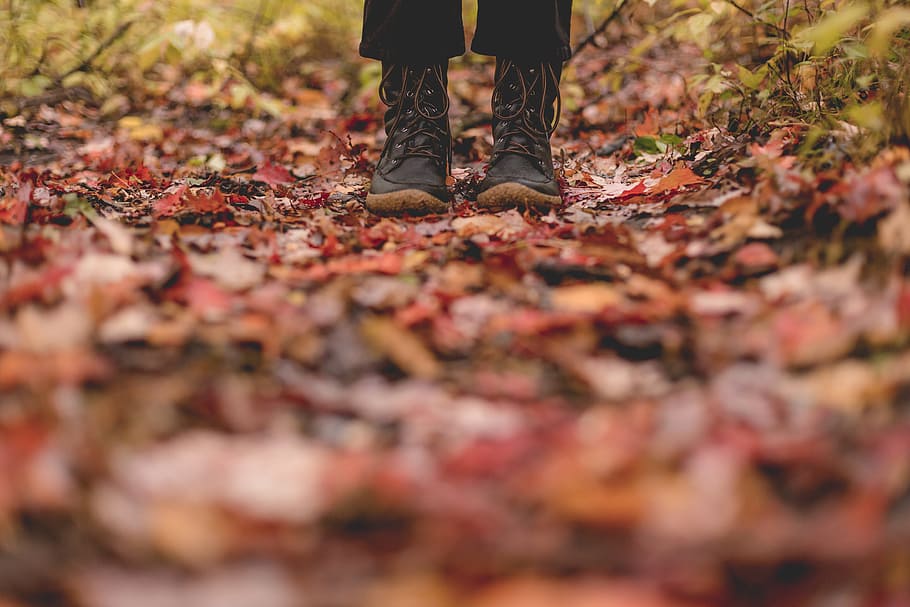 Standing In Fall Leaves Photo, Earth, Outdoor, Hiking, Boots HD wallpaper