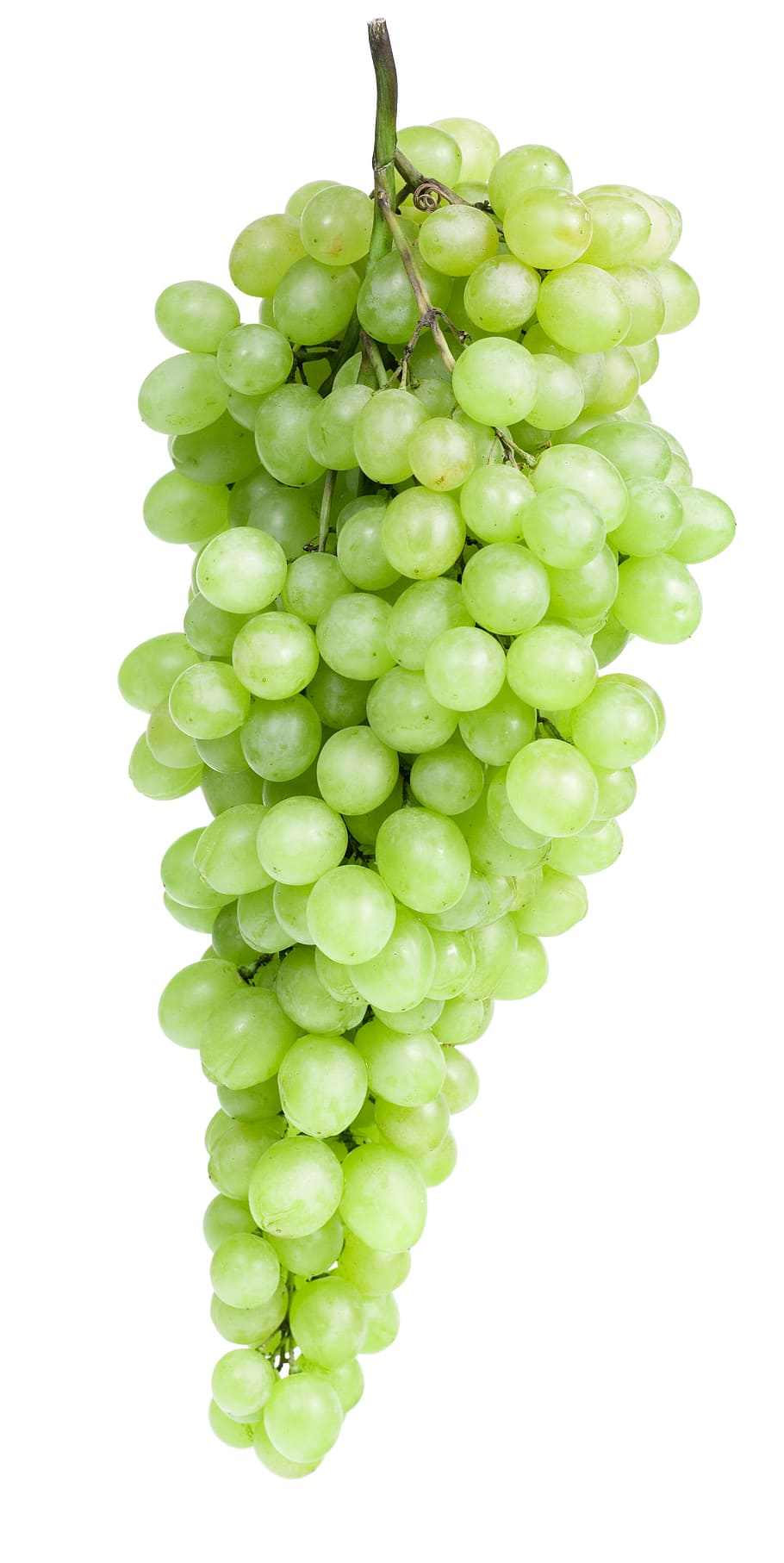 grapes, close-up, closeup, diet, dieting, eating, food, fresh HD wallpaper
