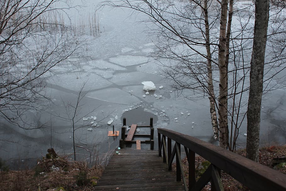 finland, stairs, ice, frozen lake, winter, sauna, hole, tree, HD wallpaper