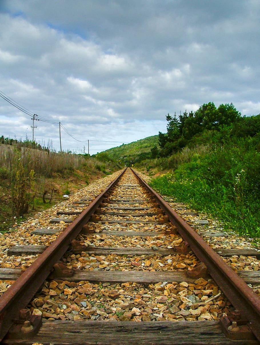 tree, train track, bush, shrub, shrubland, scrub, railway transport HD wallpaper