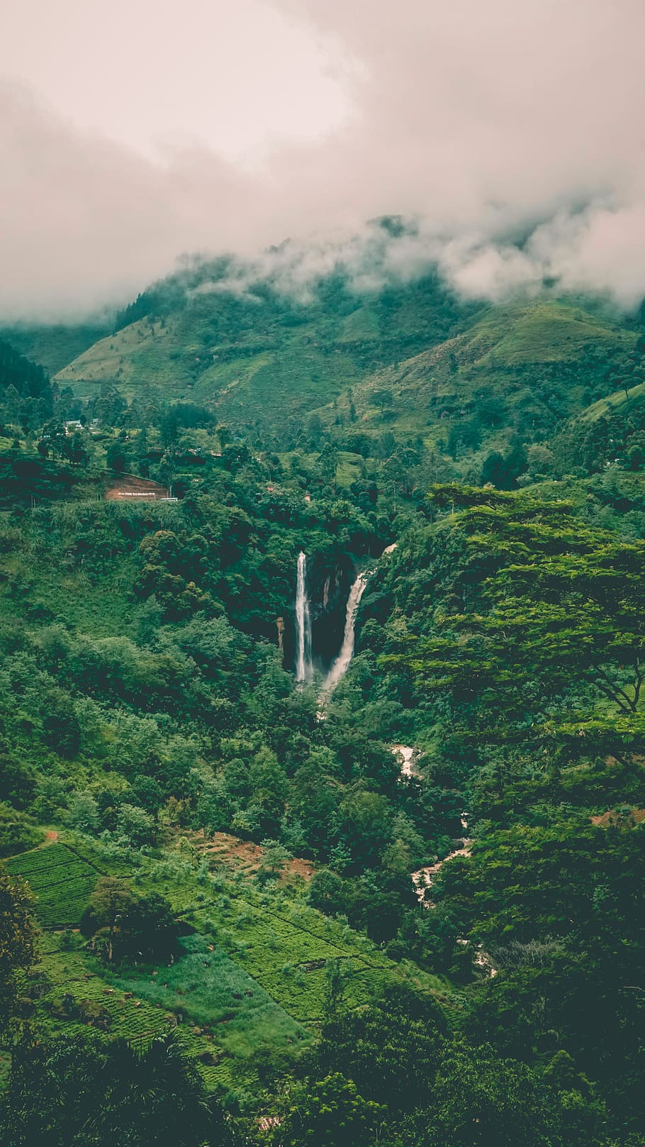 waterfall, forest, trees, nature, love, scenics - nature, plant HD wallpaper