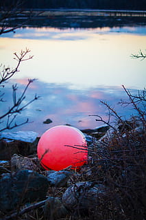 sphere, food, egg, outdoors, nature, ball, ground, scenery HD wallpaper