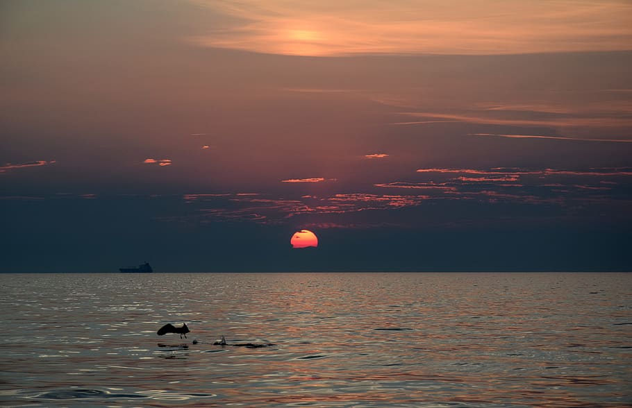 sunset, trieste, sea, water, italy, tranquility, summer, sky