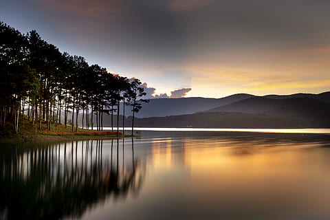 Reflection of Trees on Body of Water, backlit, beautiful, dawn HD wallpaper