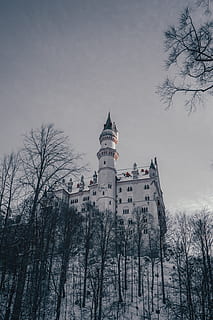 White Castle, architecture, bare tree, building, cold, dawn, daylight HD wallpaper