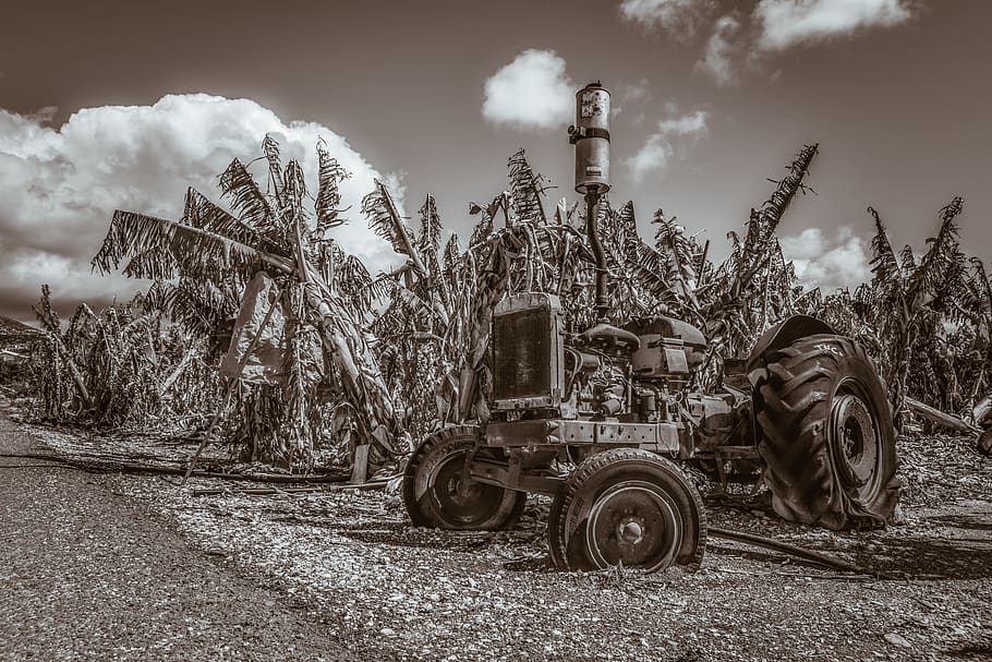 tractor, old, oldtimer, rusty, aged, weathered, antique, rural HD wallpaper