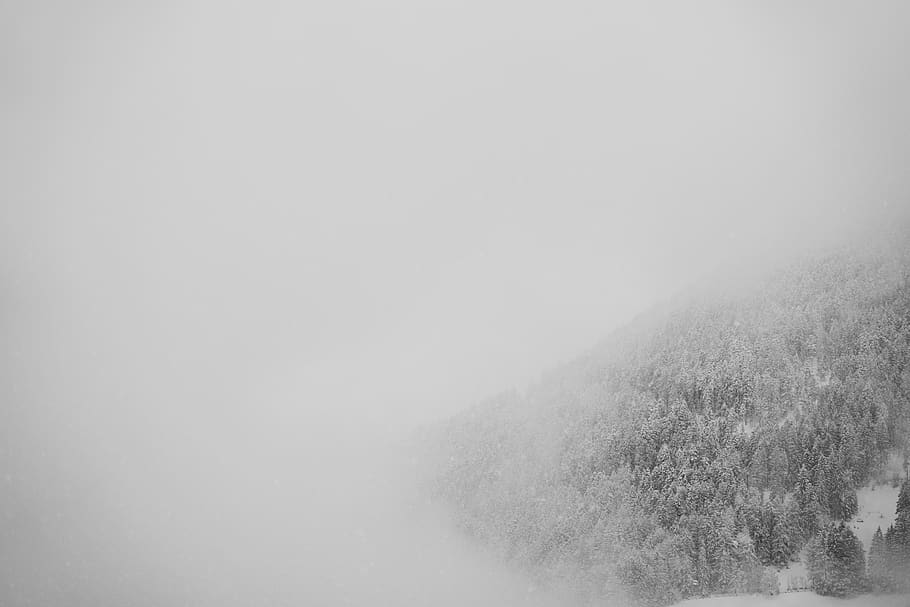 snowfalls weather, fog, beauty in nature, environment, scenics - nature HD wallpaper