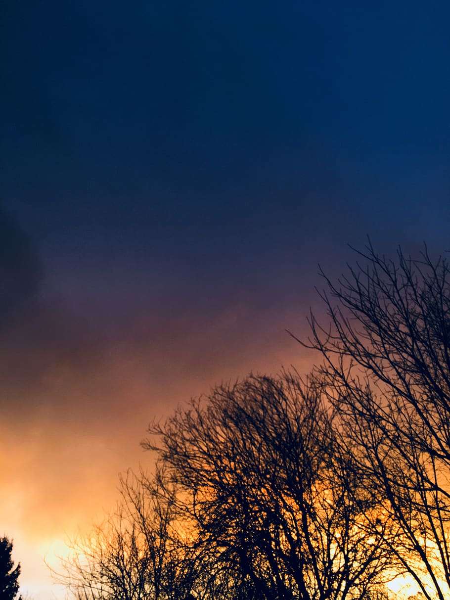 romania, bucharest, orange, tree, storm, sky, forest, sunset HD wallpaper