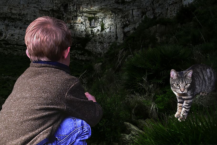 fantasy, child, crouching, cat, mountain, wall, buddha, light HD wallpaper