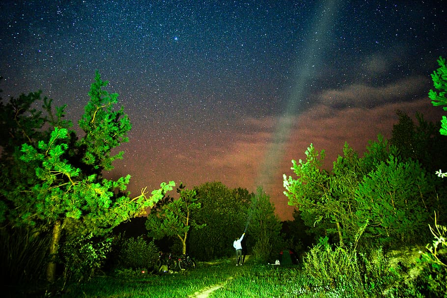 carpathian mountains, plant, tree, night, star - space, beauty in nature HD wallpaper