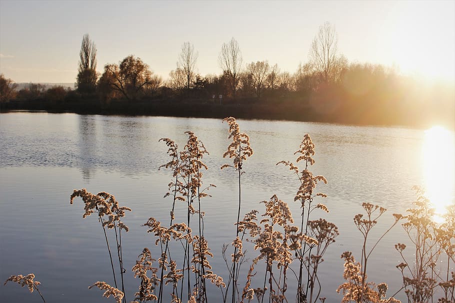 sun, wallpaper, river, fall, water, plant, lake, tranquility HD wallpaper