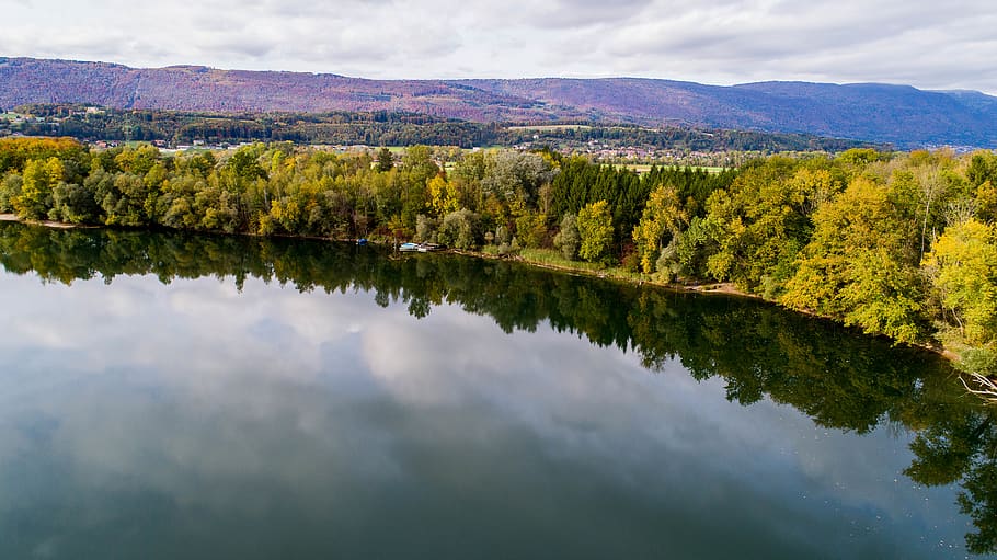 nature, water, plant, tree, outdoors, fir, abies, lake, conifer HD wallpaper
