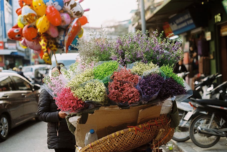 retail, flower, incidental people, flowering plant, basket HD wallpaper