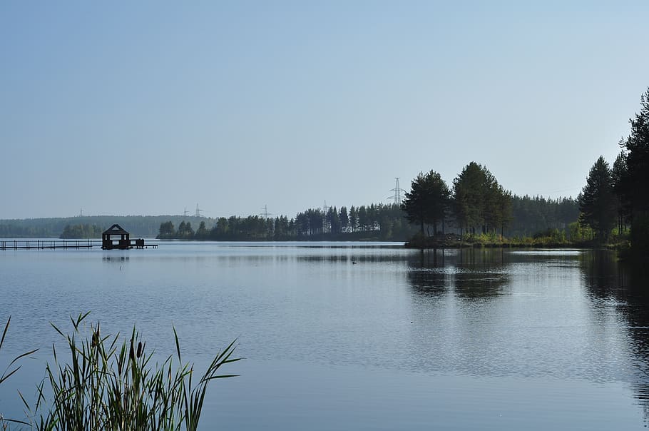 lake, river, forest, water, nature, landscape, trees, forests HD wallpaper