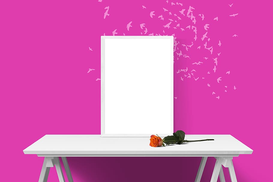 poster, frame, wall, desk, rose, pink color, indoors, colored background HD wallpaper