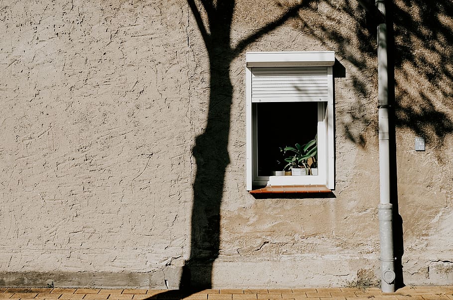 green plants on window during daytime, built structure, architecture HD wallpaper