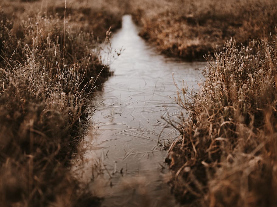 body of water, ditch, plant, grass, soil, land, outdoors, nature, HD wallpaper