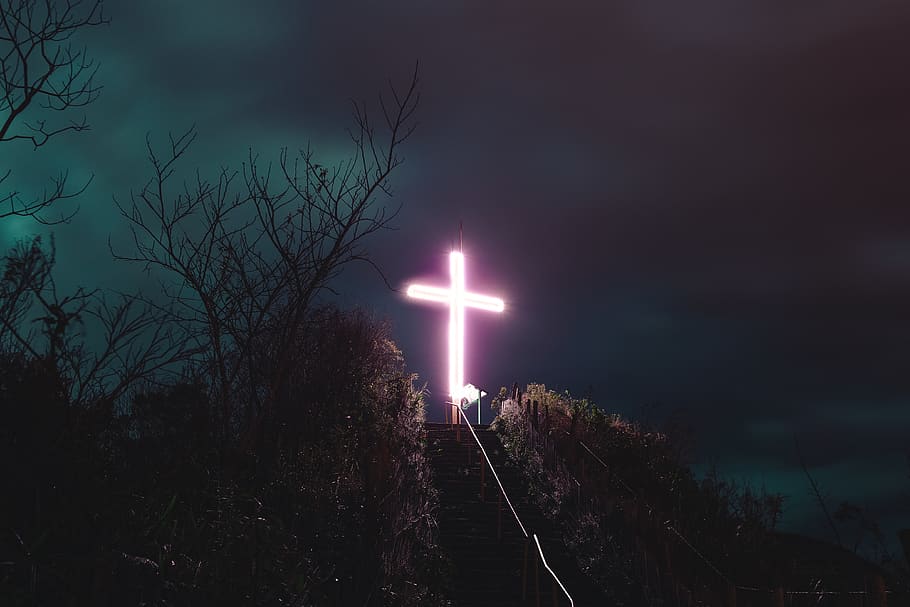 lighted cross on hill, sky, night, plant, tree, illuminated, nature HD wallpaper