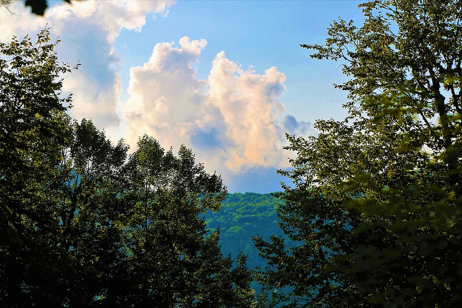 landscape, nature, forest, tree, sky, clouds, trees, mountains HD wallpaper