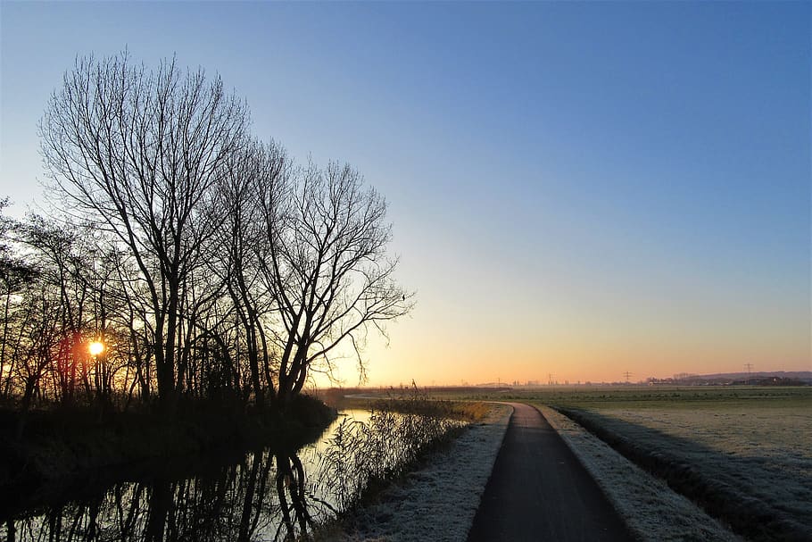 winter, sunrise, cold, landscape, zing, trees, branches, silhouette HD wallpaper