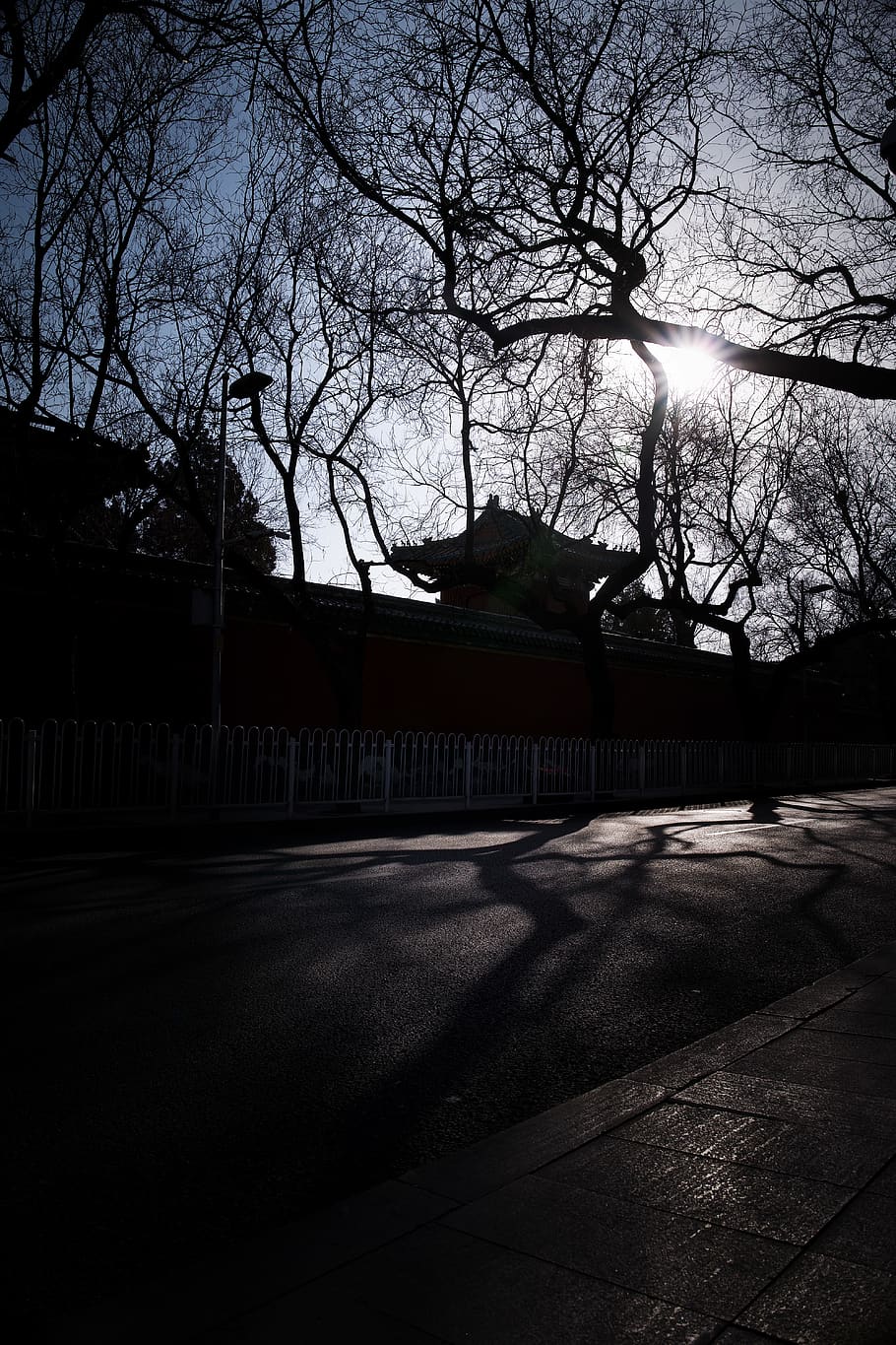 trees, china, winter, beijing, city, stree, background, architecture HD wallpaper
