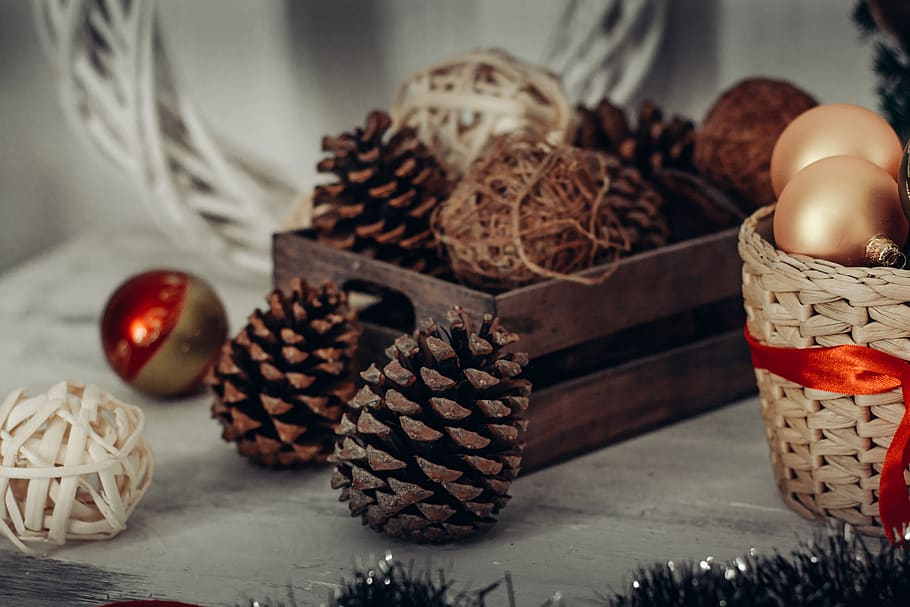 Pine Cones In Crate, conifer cones, food, food and drink, indoors HD wallpaper