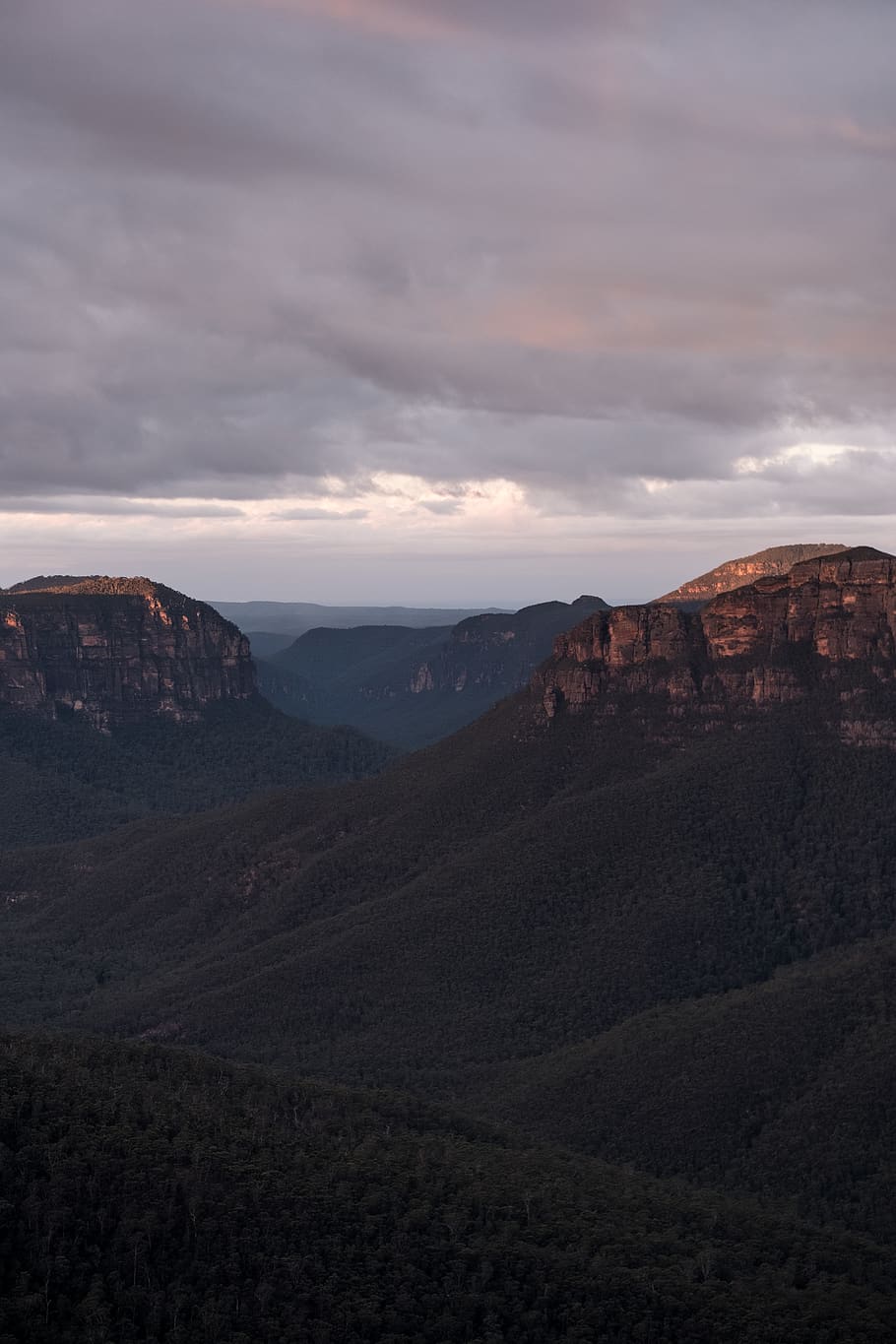mountains, trees, forest, lookout, horizon, cliffs, landscape HD wallpaper