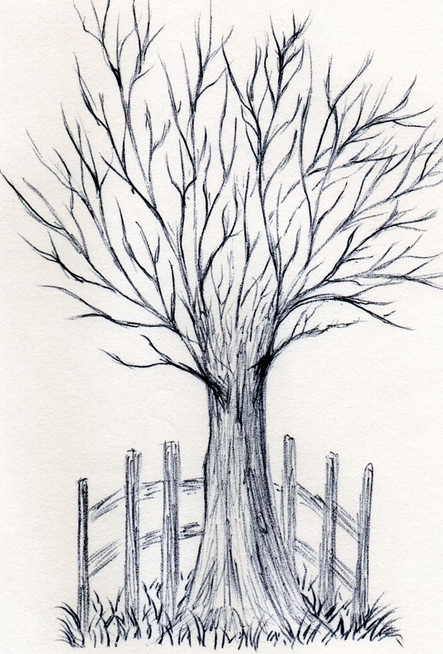HD wallpaper: tree, art, drawn, pen, drawing, artwork, plant, bare tree,  branch | Wallpaper Flare