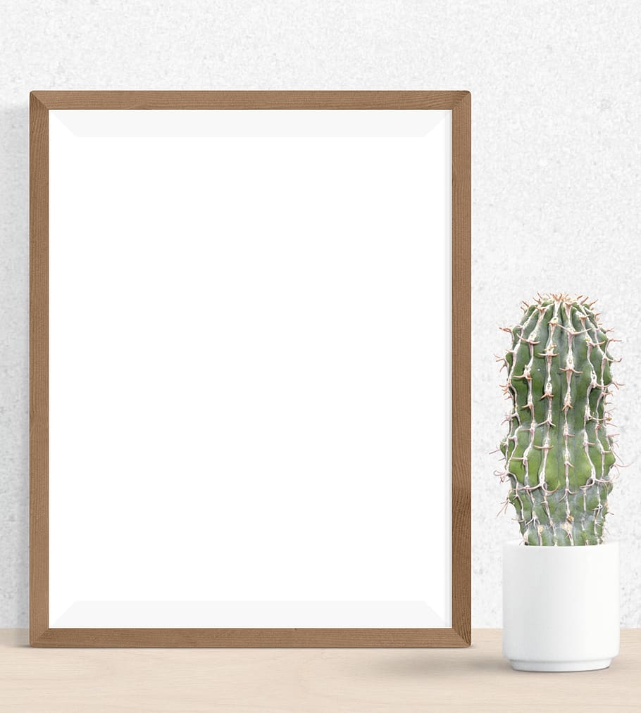 poster, frame, cactus, plant, desk, no people, indoors, picture frame HD wallpaper