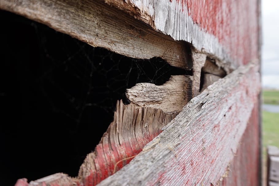 cobweb, spiderweb, wood, old, barn, grain, bin, building, outside HD wallpaper