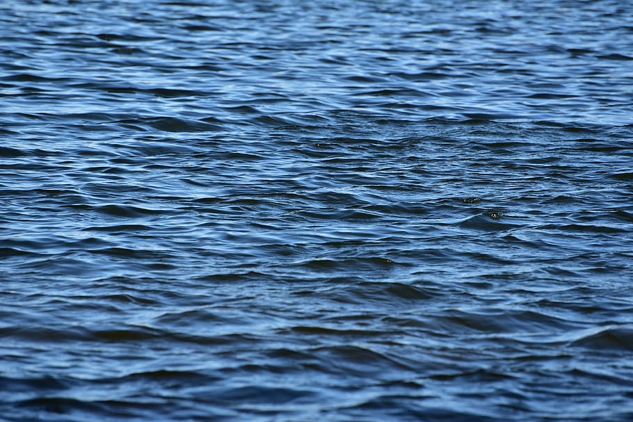 waters, nature, purity, wave, gopher, liquid, wet, lake, background HD wallpaper