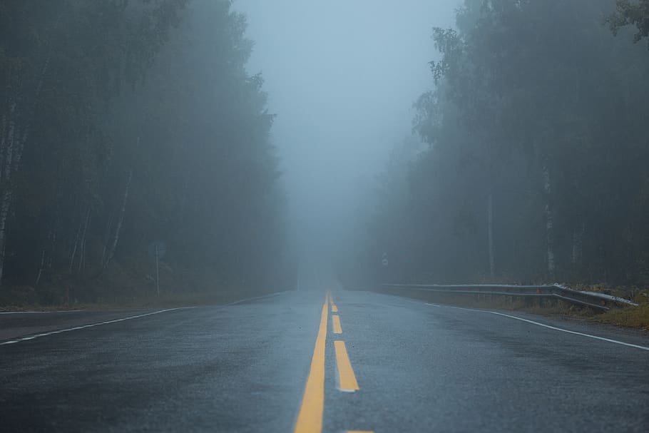 empty road between forest, road marking, fog, the way forward HD wallpaper