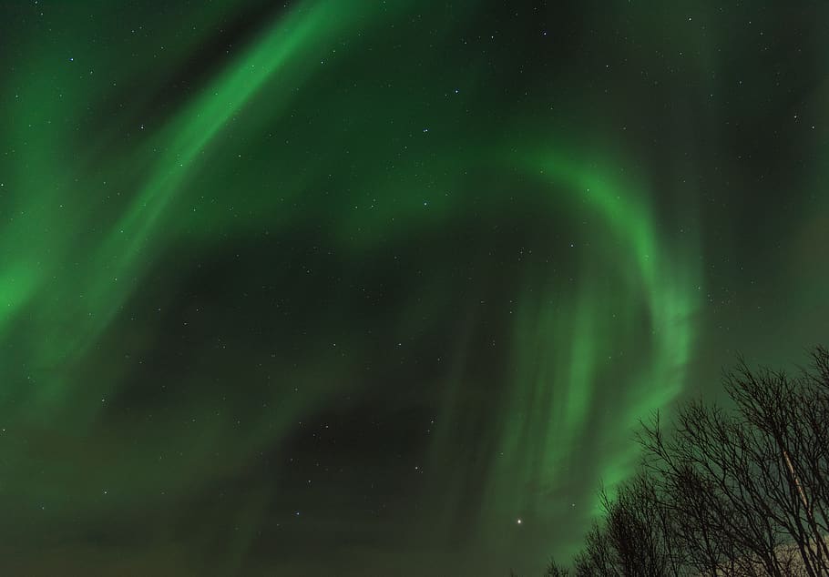 green aurora borealis, nature, outdoors, night, grey, tromso, HD wallpaper