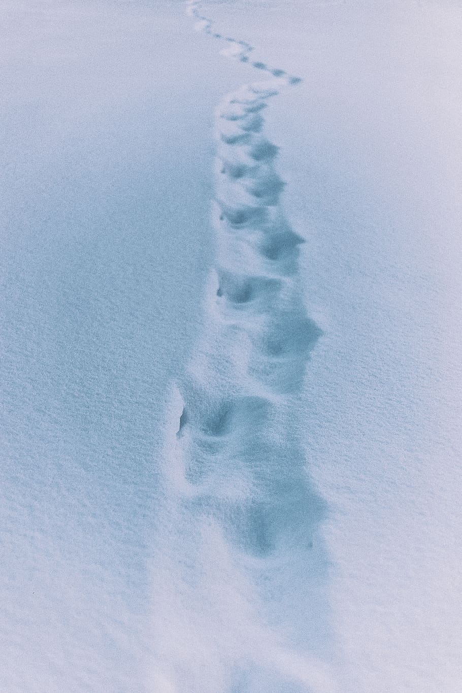 trail in snow, nature, no people, cold temperature, day, winter HD wallpaper