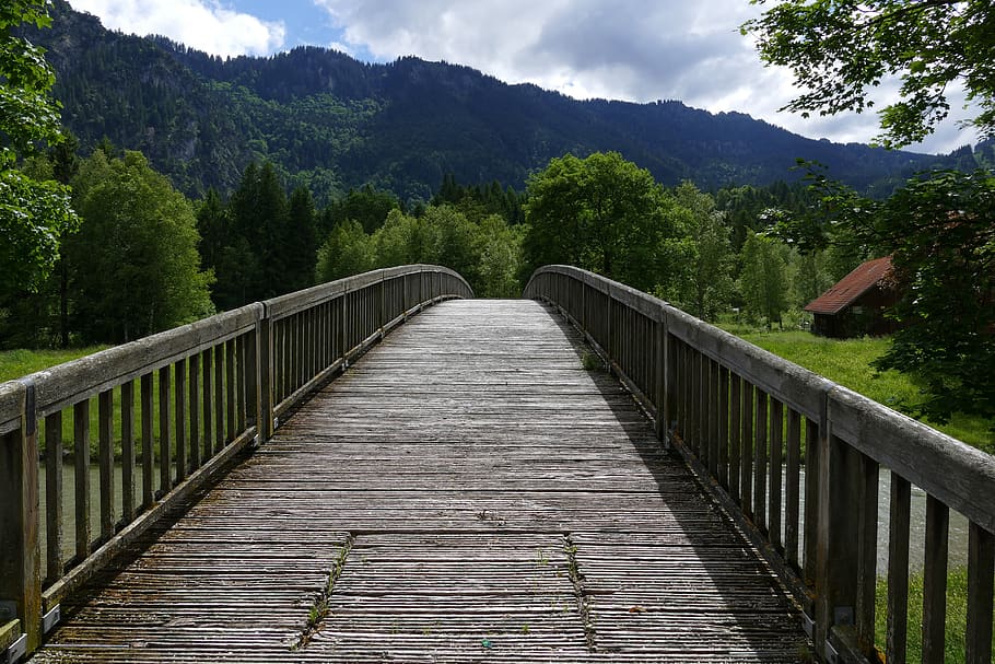 Landscape Photo of Wooden Bridge, adventure, boardwalk, daylight HD wallpaper