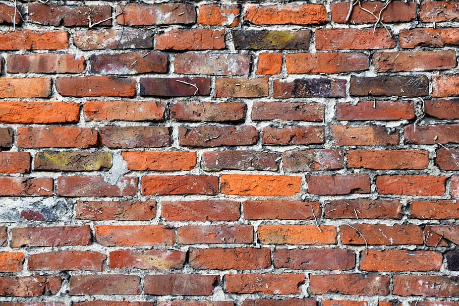 brown brick wall, l75 254, germany, elmshorn, texture, bricks HD wallpaper