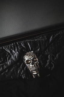 Halloween Skulls Decorations, autumn, fall, spooky, scary, indoors HD wallpaper