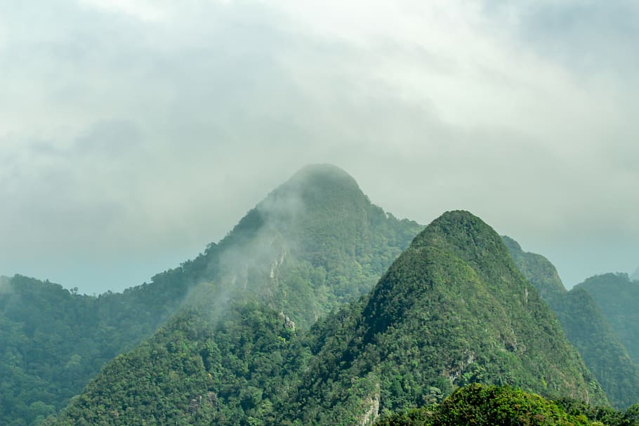 malaysia, trees, enviroment, green, mountains, tropic, jungle, HD wallpaper