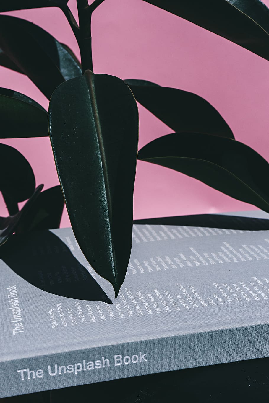 plant, leaf, advertisement, poster, collage, book, hardcover book HD wallpaper