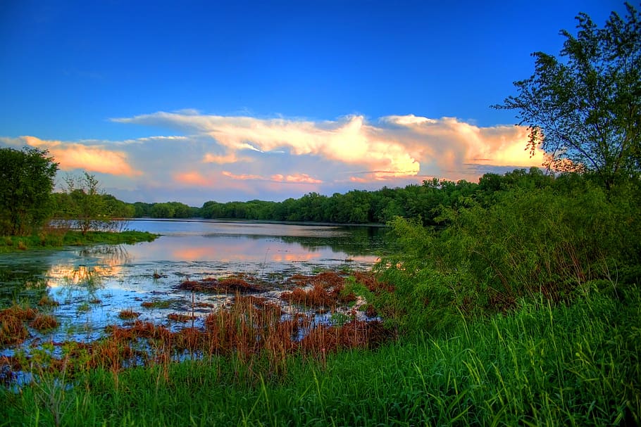 marsh, clouds, sky, nature, landscape, water, summer, outdoors HD wallpaper
