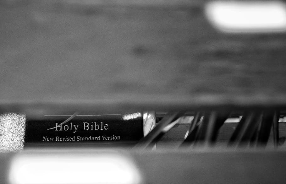 holy bible, text, selective focus, close-up, indoors, western script HD wallpaper