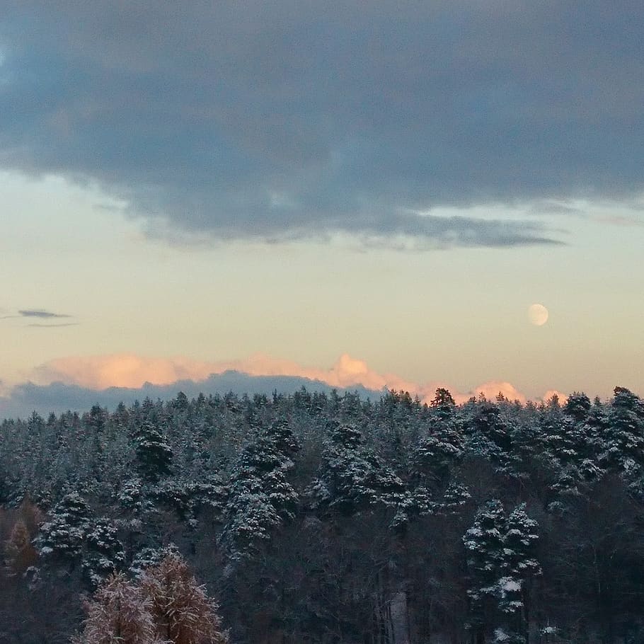 clouds, trees, mountains, winter, moon, snow, forest, sky, cloud - sky HD wallpaper