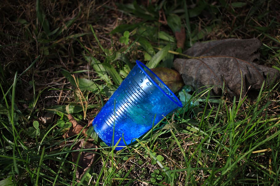 cup, blue, plastic, litter, recycle, nature, grass, land, plant