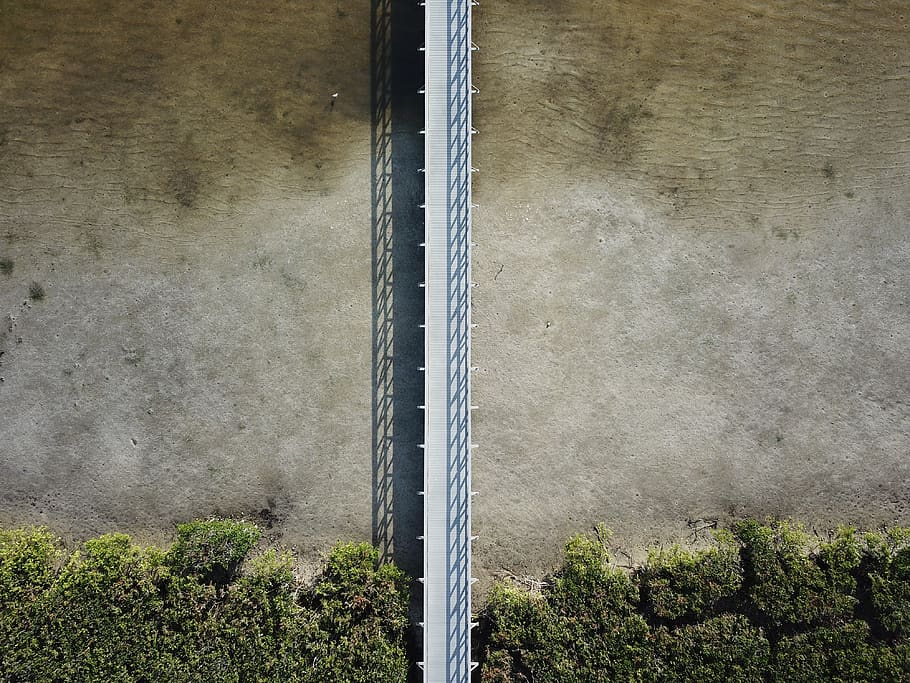 white bridge, no people, day, plant, architecture, wall - building feature HD wallpaper