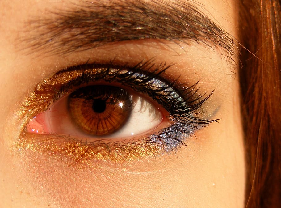 Human's Eyes, close-up, eyebrow, eyelashes, eyeshadow, girl, make-up HD wallpaper
