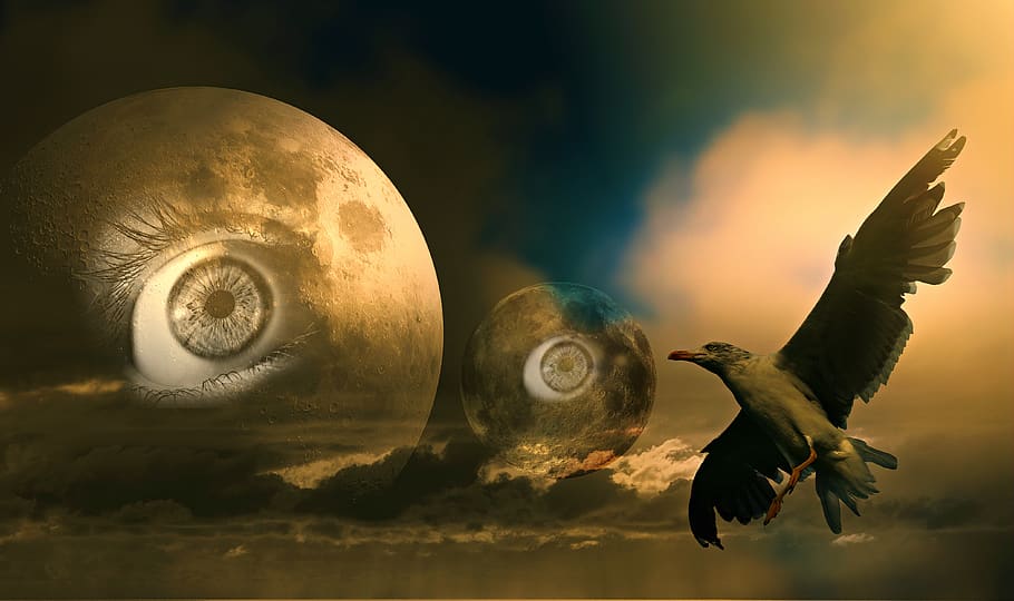 moon, eye, bird, skies, fantasy, science fiction, mysterious HD wallpaper