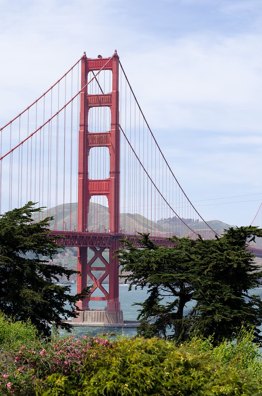 red bridge at daytime, building, plant, tree, suspension bridge HD wallpaper