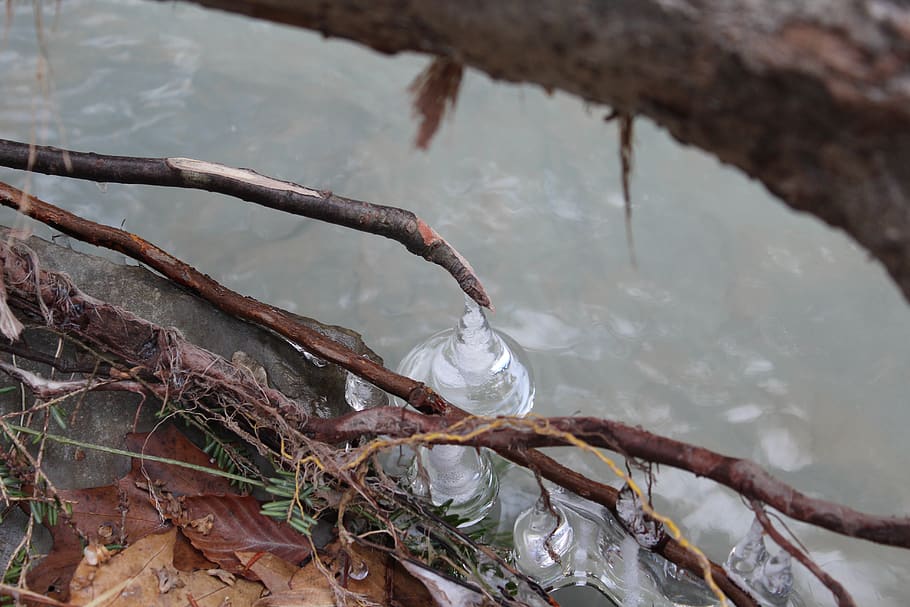 nature, cold, fall, hiking, ice, zing, frozen, creek, water HD wallpaper