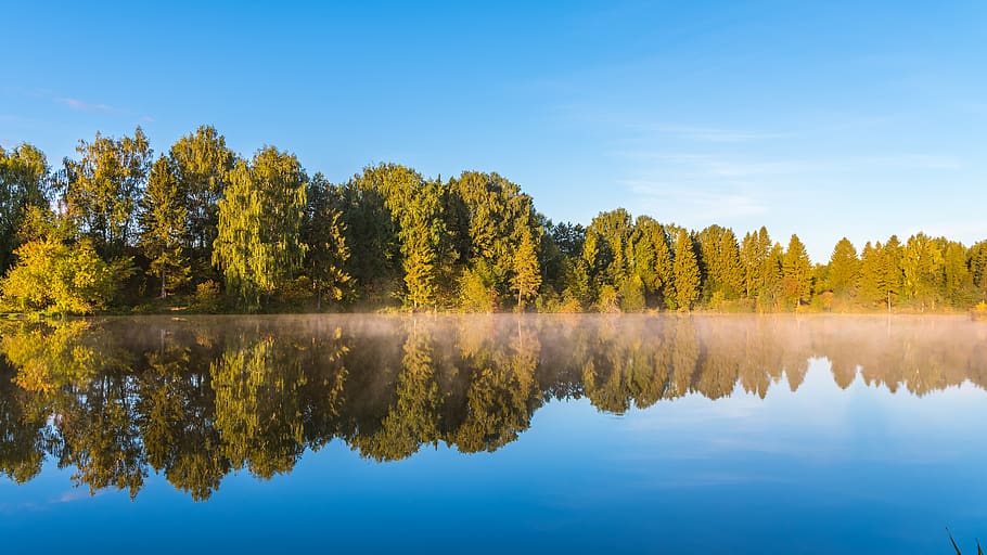 landscape, nature, clouds, sky, lake, trees, fog, summer, sunrise HD wallpaper